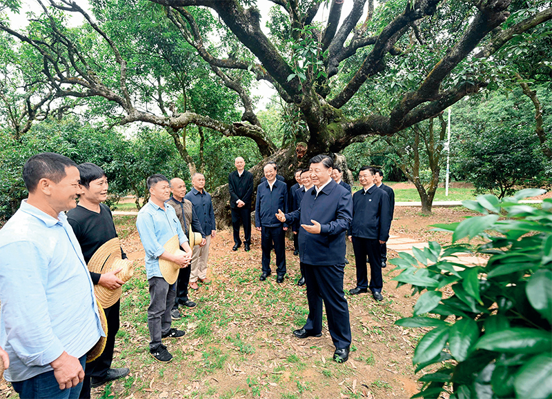 2023年4月10日至13日，中共中央總書記、國家主席、中央軍委主席習近平在廣東考察。這是11日下午，習近平在茂名高州市根子鎮(zhèn)柏橋村荔枝種植園，同現場技術人員親切交流。