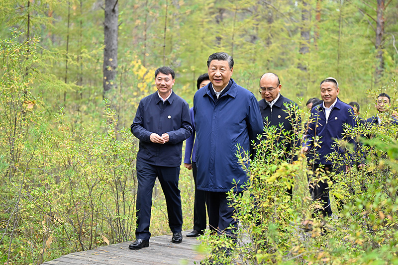 9月6日至8日，中共中央總書(shū)記、國(guó)家主席、中央軍委主席習(xí)近平在黑龍江考察。這是6日下午，習(xí)近平在大興安嶺地區(qū)漠河市漠河林場(chǎng)自然林區(qū)考察